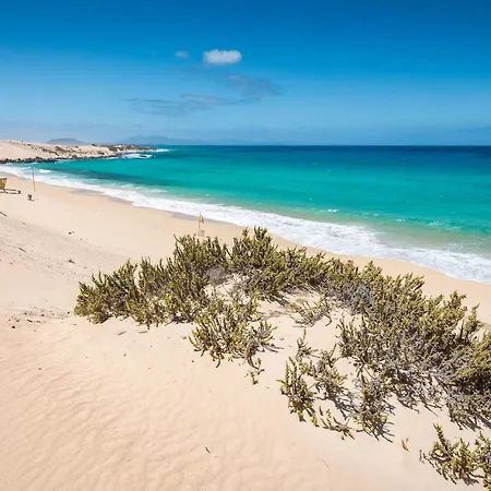 公寓 Home2book Casa Maluhia Corralejo, Wifi & Pool